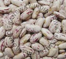 Speckled Kidney Beans