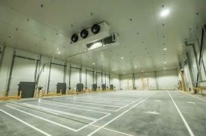 Cold Storage Structure Service