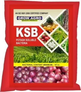 KSB Potash Solubilizing Bacteria