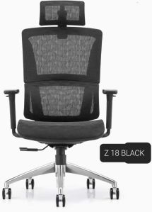 Ergonomic Chair