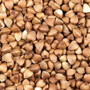 Buckwheat Seeds