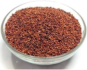 Finger Millet Seeds