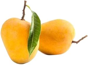 Fresh Alphonso Mango