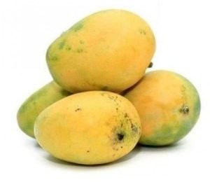 Fresh Banganapalli Mango