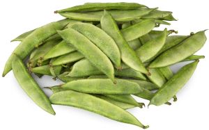 Fresh Broad Beans