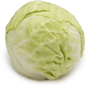 Fresh Green Cabbage