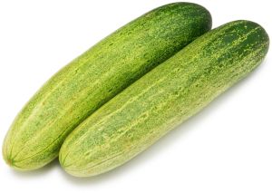 Fresh Cucumber