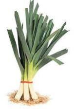 Fresh Leek