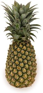 Fresh Pineapple