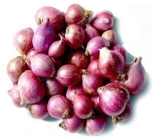 Fresh Shallot Onion