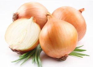 Fresh Yellow Onion