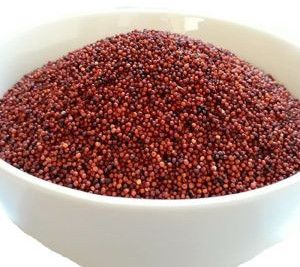 Ragi Millet Seeds