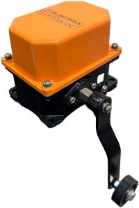 Lever Limit Switch