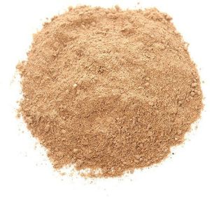 Amchoor Powder