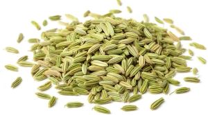 Bold Fennel Seeds