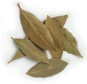 Dried Bay Leaves