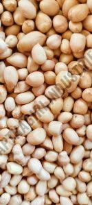 70 & 80 Grade Groundnut Seeds