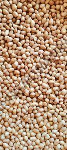 80 & 90 Grade Groundnut Seeds