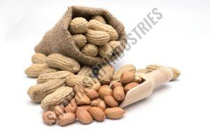 Raw Shell Peanut