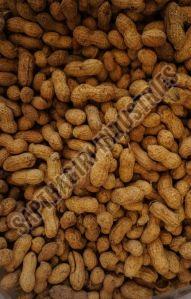 Brown Shell Peanut