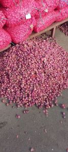 Fresh Small Red Onion