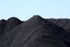 5000 GCV Indonesian Coal