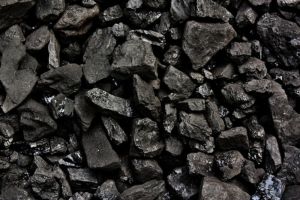 GCV 5500 Indonesian Coal