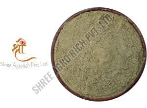 Dried Mint Powder