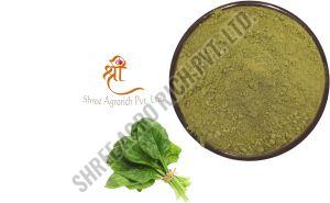 Dehydrated Spinach Powder