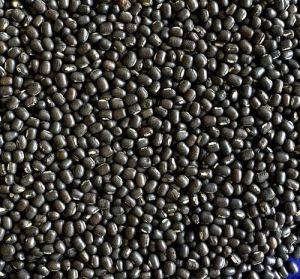 Black Urad Dal