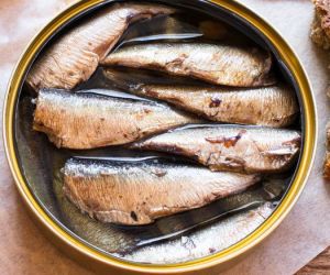 Canned Sardine Fish