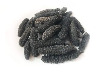 Dried Sea Cucumber