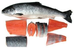 Frozen Salmon Fish