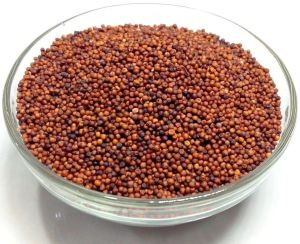 Red Millet Seeds