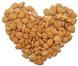 Sweet Apricot Kernels