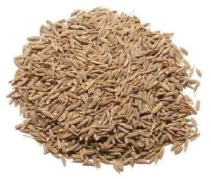 brown cumin seed