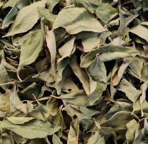 dry curry leaves