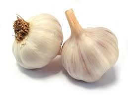 organic fresh garlic