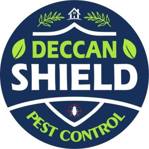 Effective Bedbug Control Services in Hyderabad Near You DS