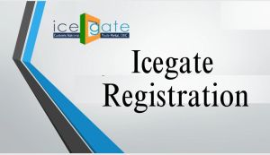 ICEGATE Registration Service