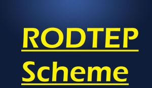 RODTEP Scheme Service