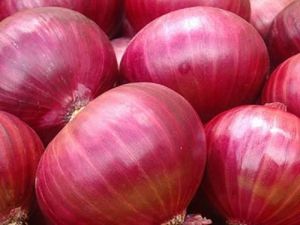 Fresh Pink Onion