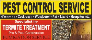 rats control services