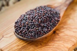 Black Small Sortex Mustard Seeds