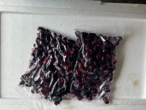 Frozen Black Grapes