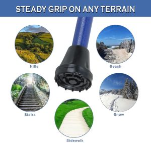 RCSP Blue Iron Walking Stick