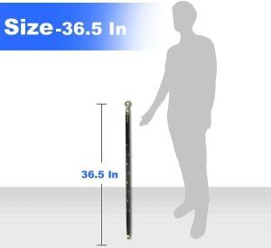 RCSP 36.5 Inch Wooden Walking Stick