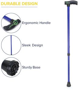 RCSP Blue Iron Walking Stick