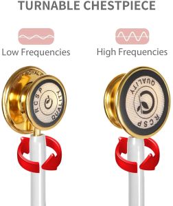 RCSP Royal Gold Stethoscope