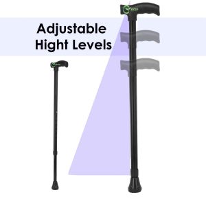 RCSP Black Iron Walking Stick